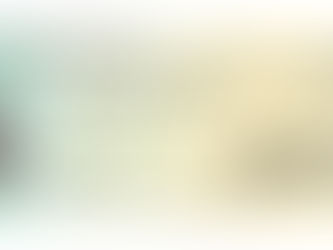 What The Stimulus Really Proves?