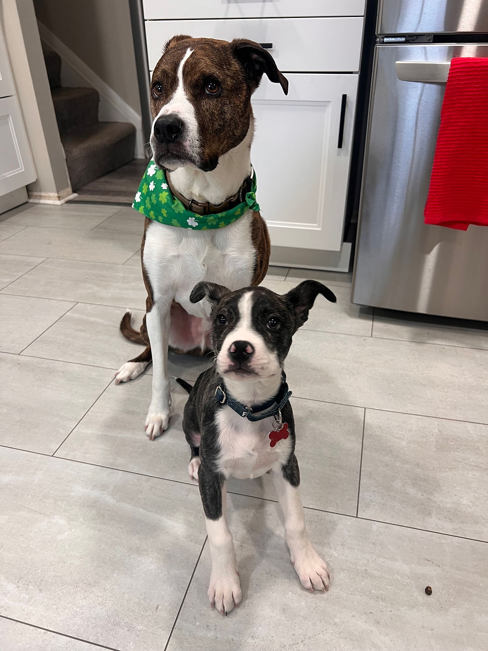 Twins!