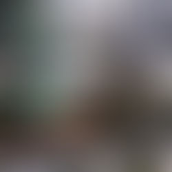 五郷の里プロジェクト