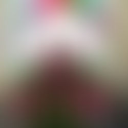 Valores y Tradiciones