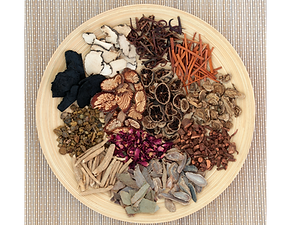 Untitled design-22.png