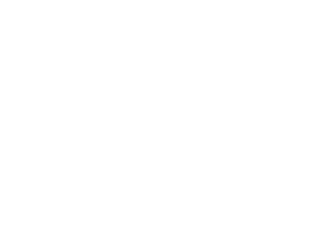 Lee_Kum_Kee_logo 1.png