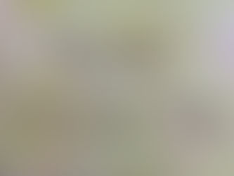 Set the Captives Free