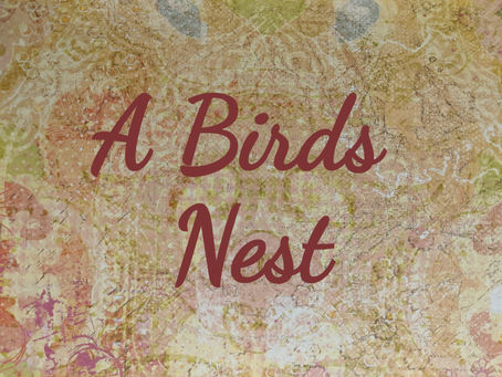 A Birds Nest
