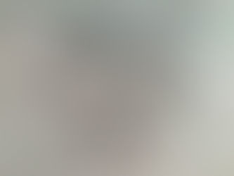 Reflecting the Light of the Son