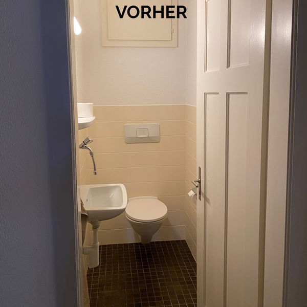 Altes Göste WC vorher