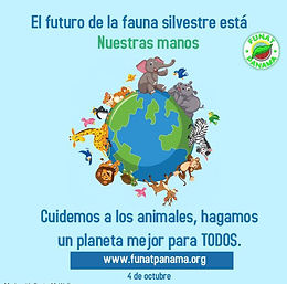 ¡Cuidemos la fauna silvestre!