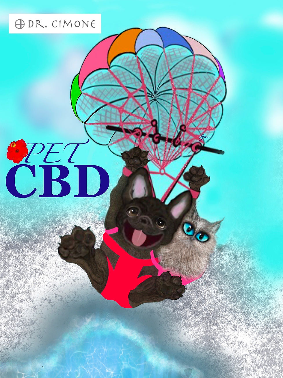 ペットCBD ”オメガ3”配合 PET CBD with "Omega3"