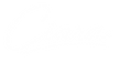 10-white.png