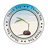 Room - Thank You Coconut2 (2).png