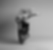 IMG_5711_edited.png