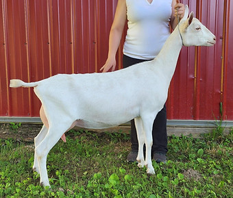 Delilah June 25.jpg