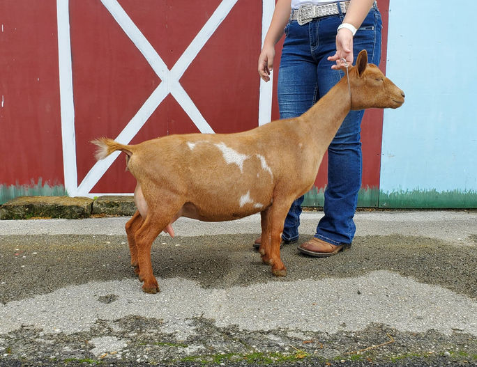 Meg swodga 2022 back drop.jpg