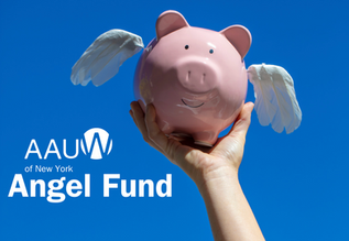 Announcing: The NYS Angel Fund!