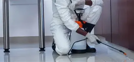 télécharger (1).webp