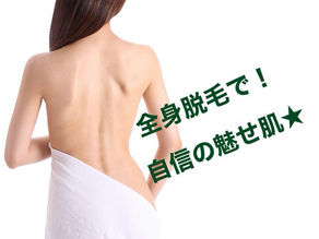 肌見せの時期に備えて!