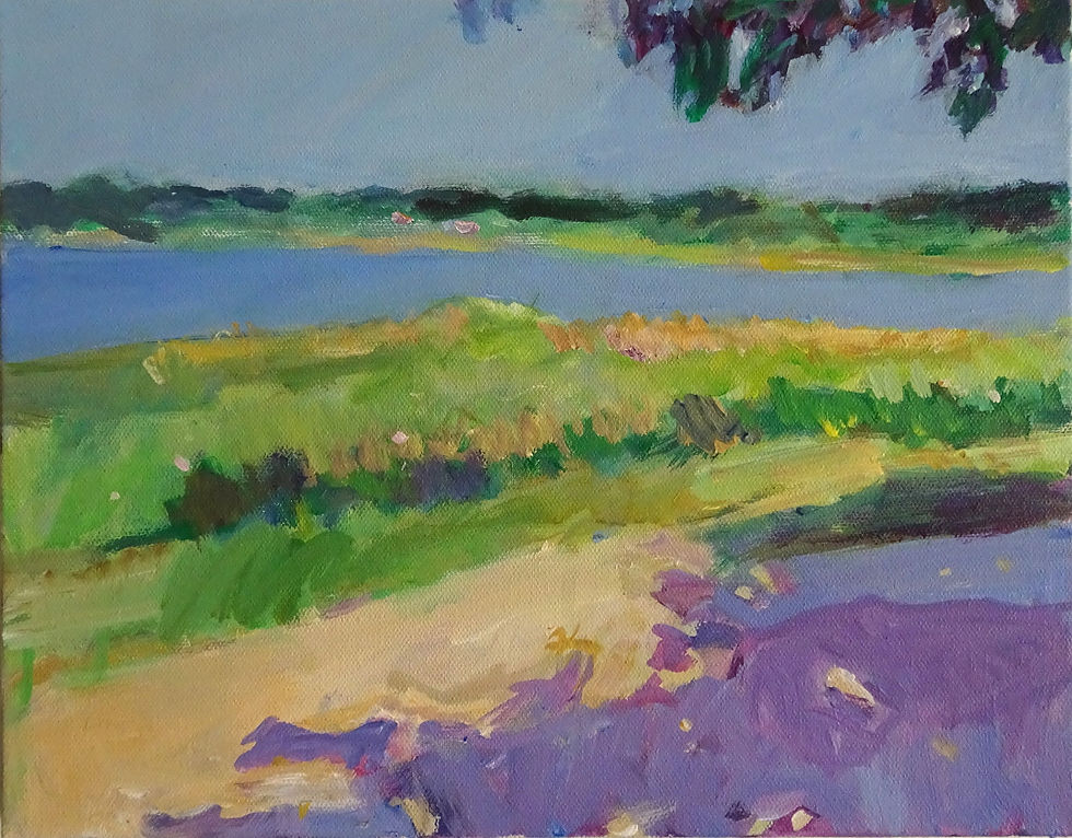 A Walk at Back Cove