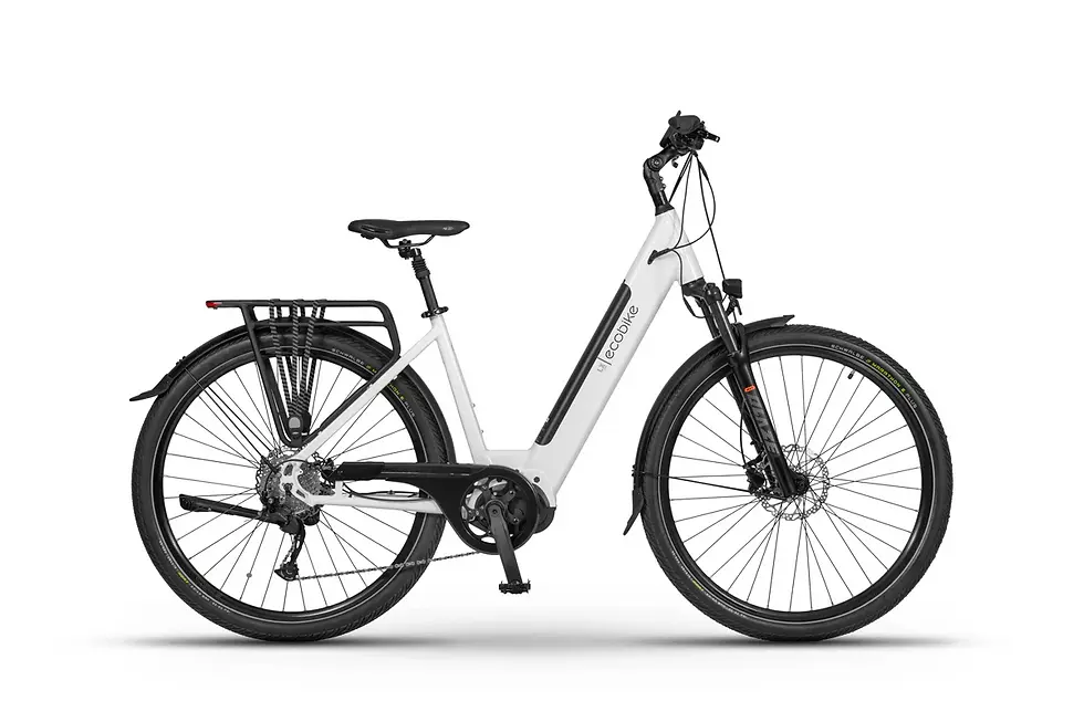 Ecobike LX300 - Electric Bike