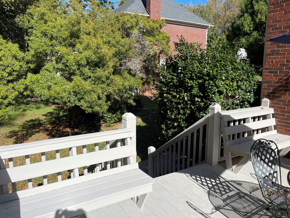 Deck Resurfacing 19