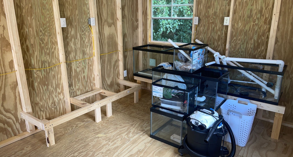Large Shed Electrical Install 9