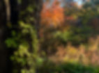 395364731_820149050115350_5083074386259334494_n_edited.jpg