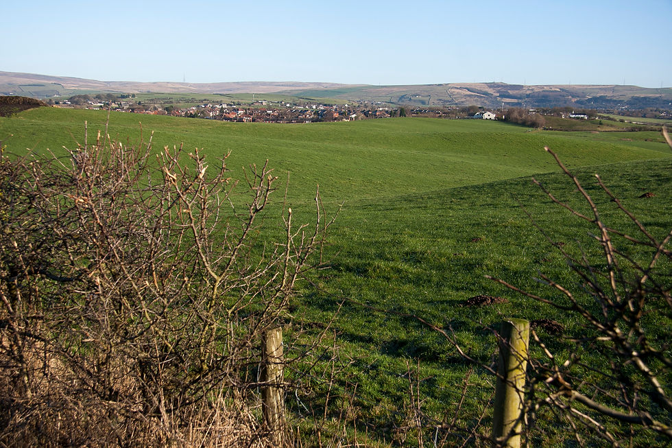 View from Tandlehills