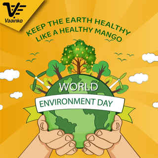 WhatsApp Image 2022-06-02 at 12.12.42 PM.jpeg