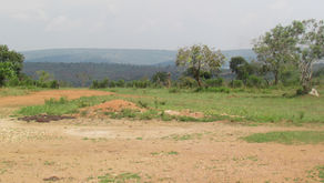 The image illustrates land that was removed from Akagera National Park and subsequently allocated for agricultural use as part of efforts to settle people returning after prolonged displacement in Mwiri Sector, Kayonza District.