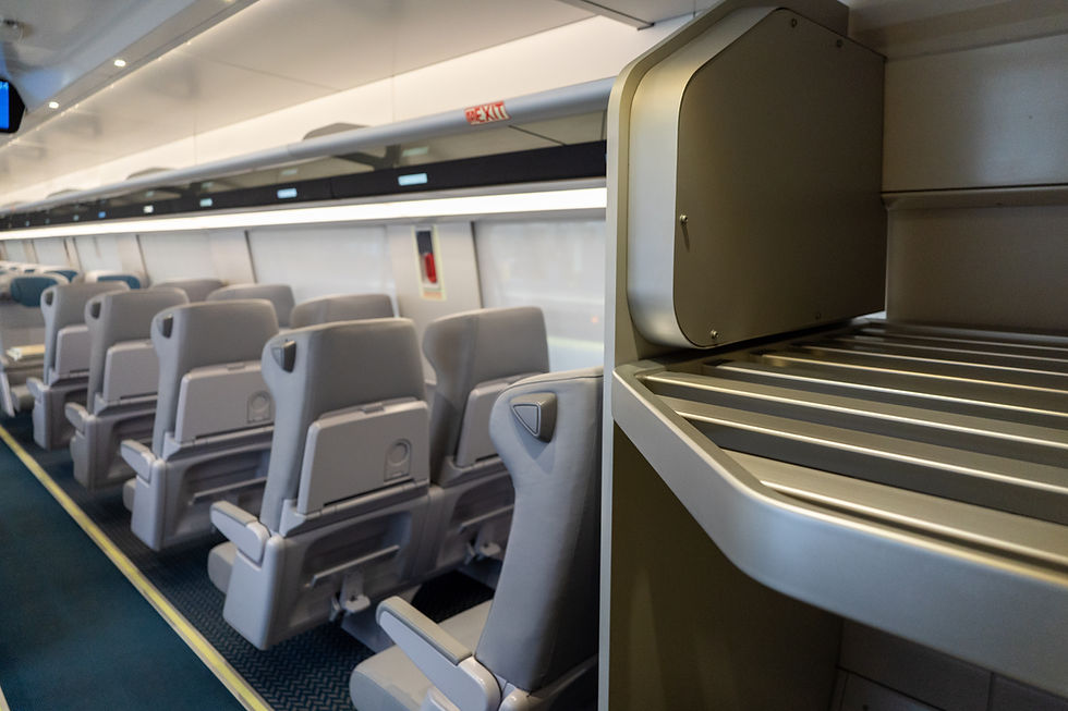 Amtrak Train Luggage
