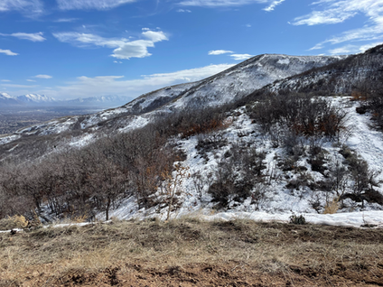 Mountains to the Valleys