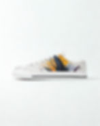 canvas shoes