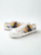 canvas shoes