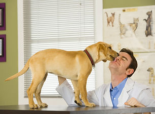 Vet and Puppy
