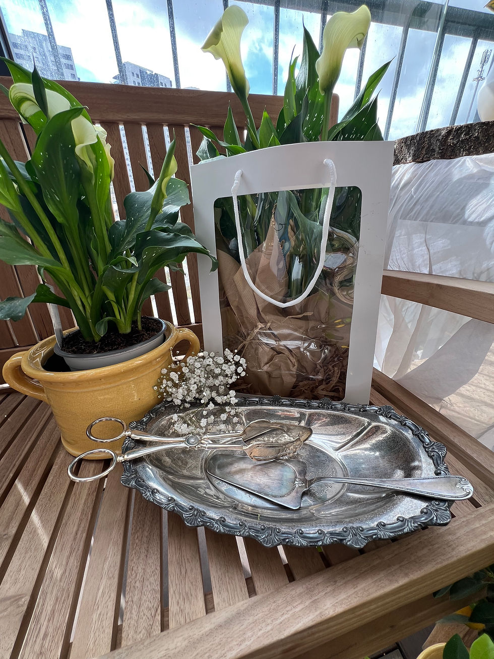 Thumbnail: סילבר על רגל להגשה 