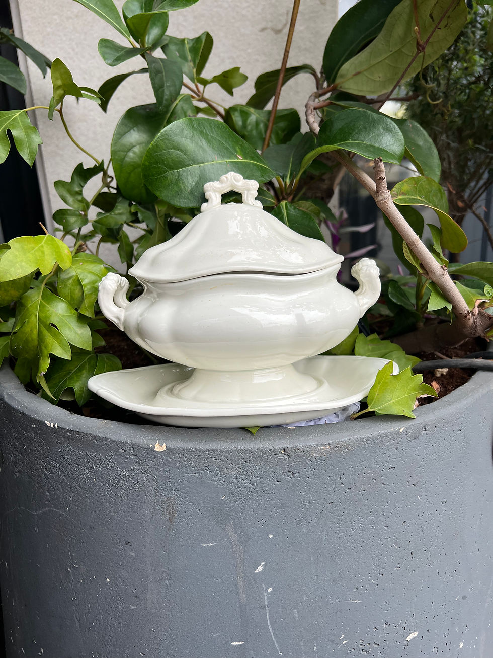 Thumbnail: טורין לרוטב 