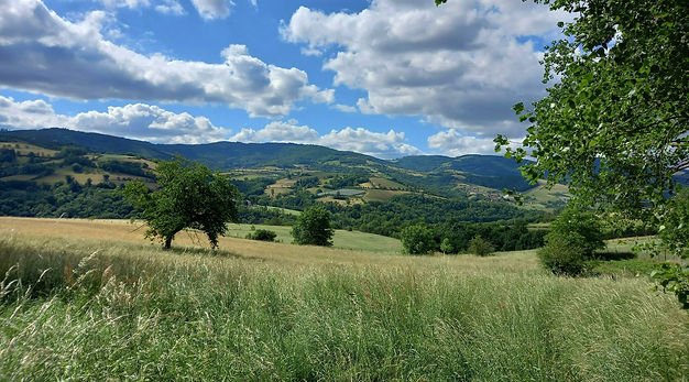Mont du Lyonnais.jpg