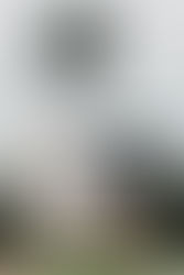 How to prepare for an Outdoor Holiday Session