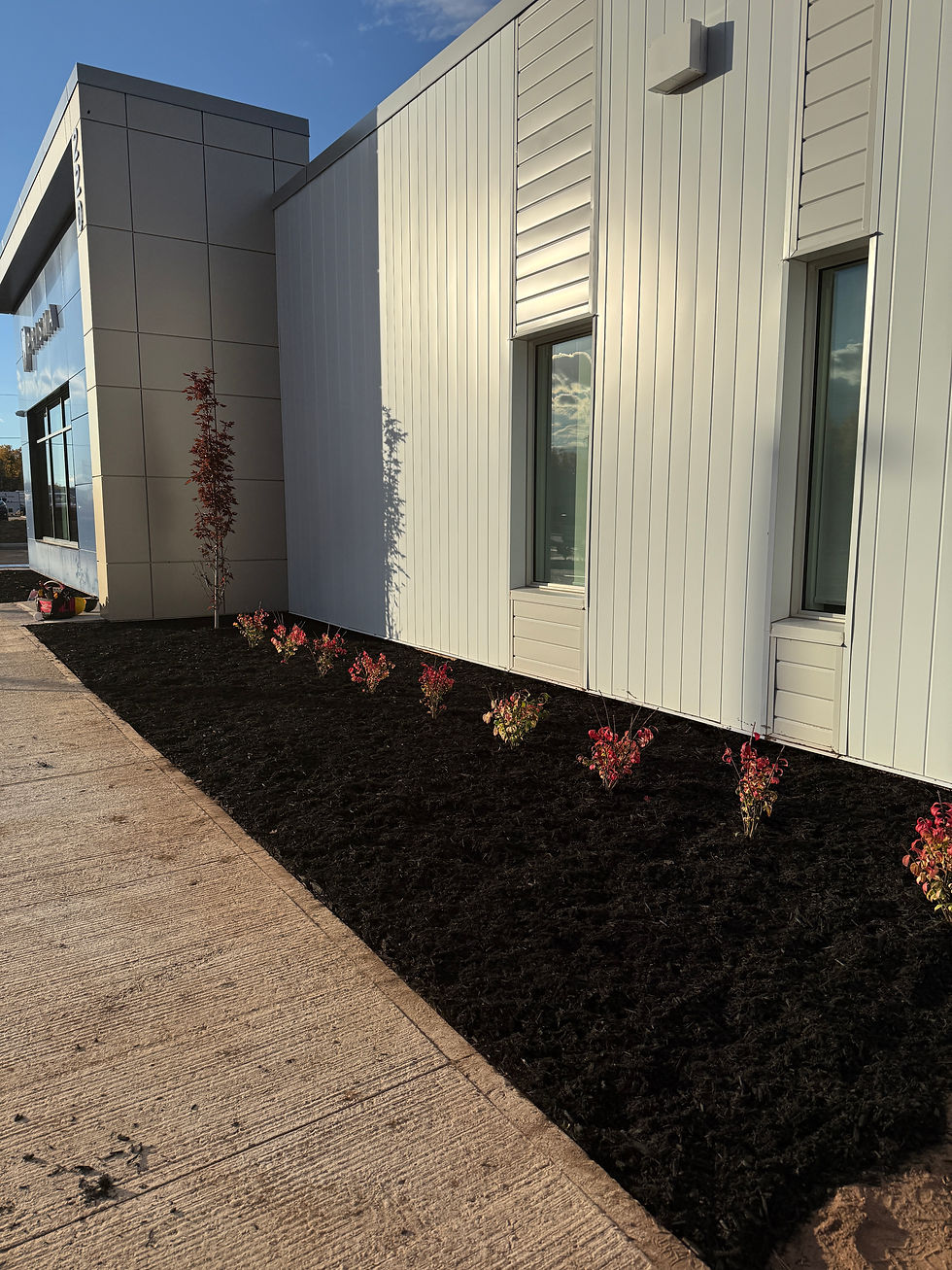 Tree & Shrub Planting