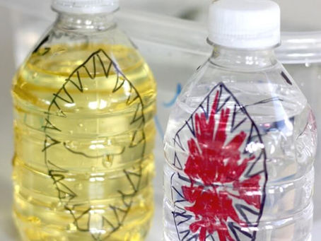 Πείραμα για το πως επιπλέουν οι καρχαρίες