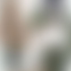 Christmas Mini Session in Pittsburgh, PA