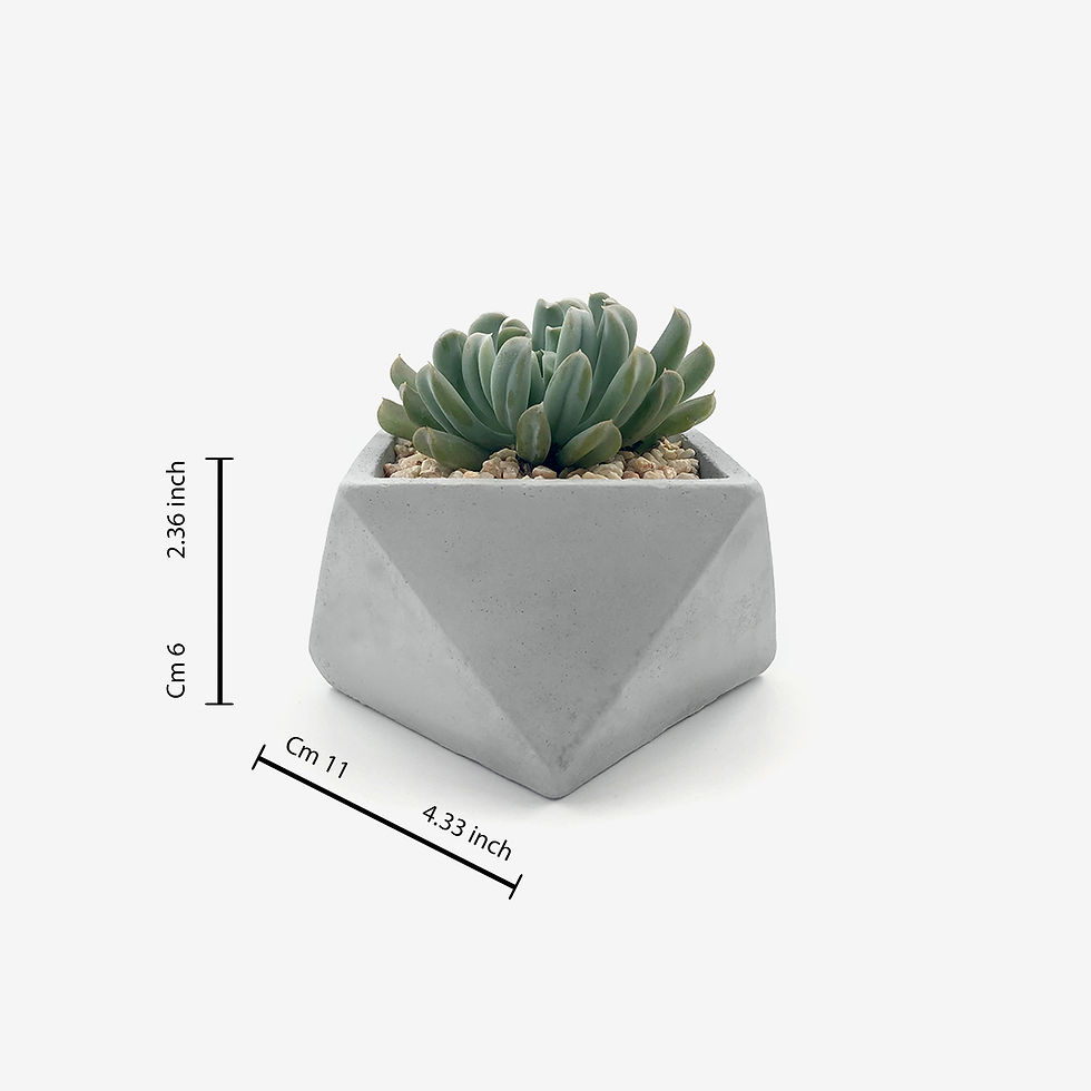 תמונה ממוזערת: סט גיאומטרי עציצים גיאומטרים בוהו שיק מודרני עציצים קקטוסים וסקולנטים לעיצוב הבית ועיצוב פנים