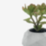 מטאורית גאומטרית מדויקת, גדולה ומרשימה, עציץ בטון נופר מפארת את מראה הצמחים בתוכה ונותנת מראה עכשווי ונכון. נעשה בעבודת יד מ