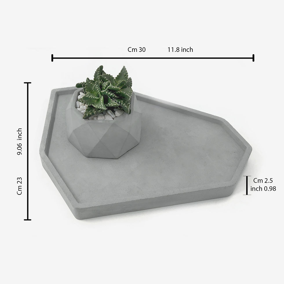 תמונה ממוזערת: סט מגשים גיאומטרים, מגש דאלי, מגש בטון עם עציצים, בטון מוחלק, מגש בטון, מגש בטון גדול, מגש בטון קטן,