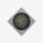 עציץ בטון עם קקטוס