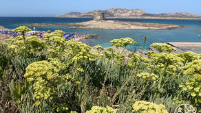 La spiaggia della "Pelosa"