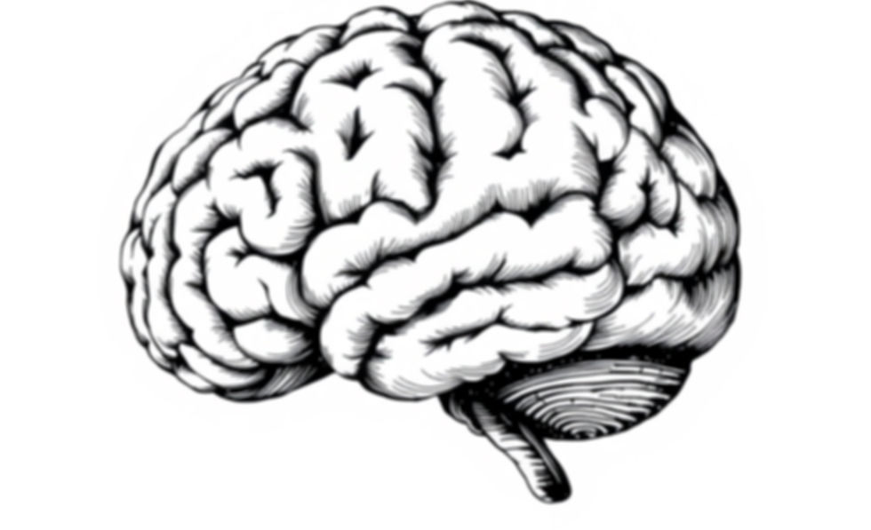 LIGHT BACKGROUND OF brain with black and white, it must look very authentic and olden days