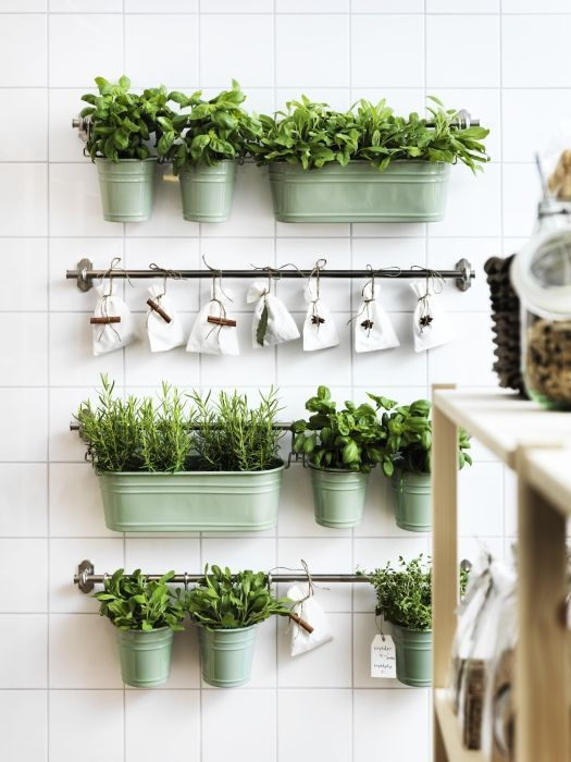 jardineira mini horta na cozinha
