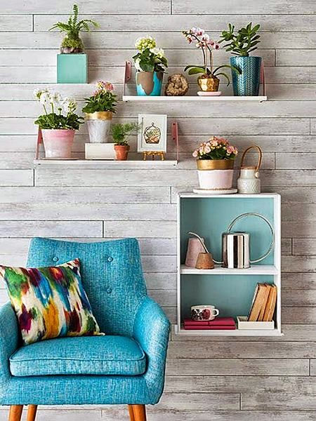 nichos com plantas