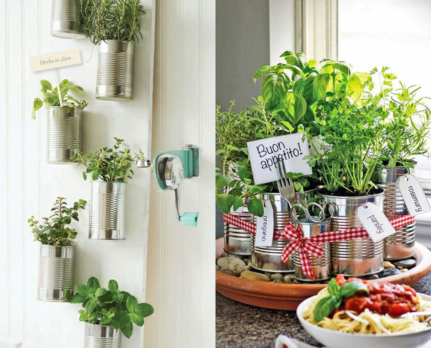 mini horta em latas recicladas