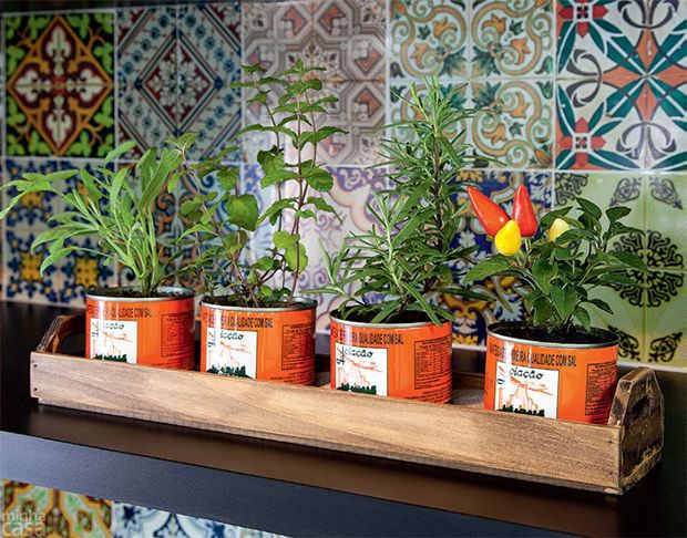 mini horta em latas recicláveis